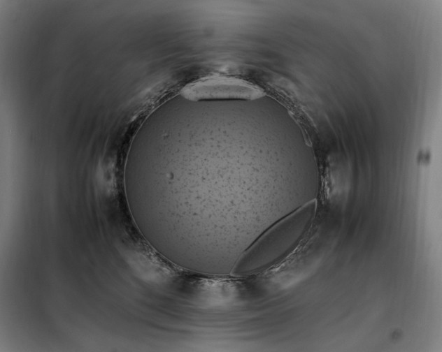 X0000098000520200804021034