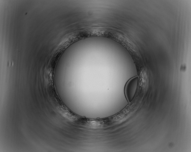 X0000098000522200804021034