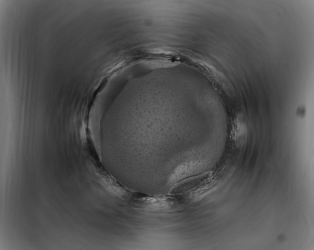 X0000098000524200804021034