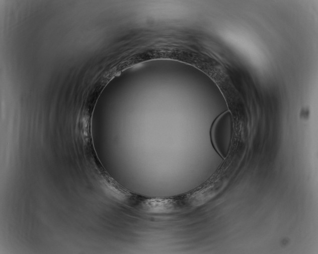 X0000098000526200804021034
