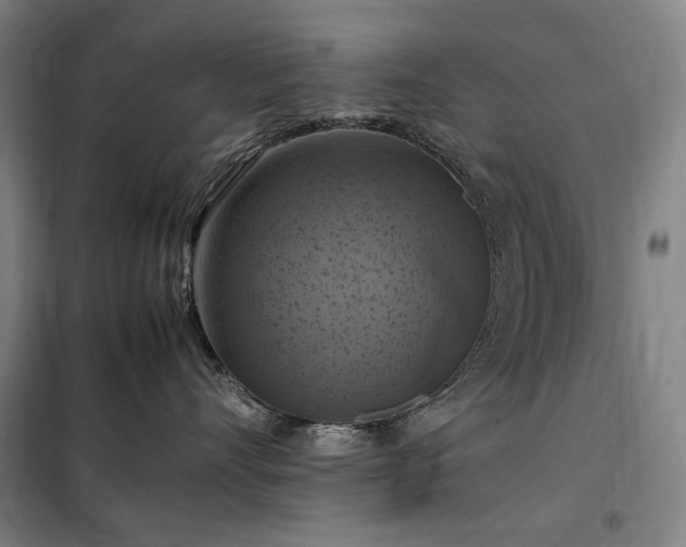 X0000098000528200804021034