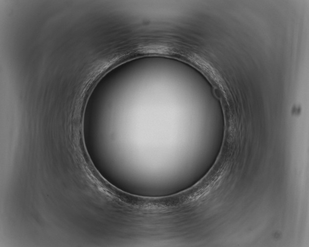 X0000098000529200804021033
