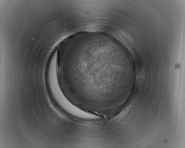 X0000098000530200804021033