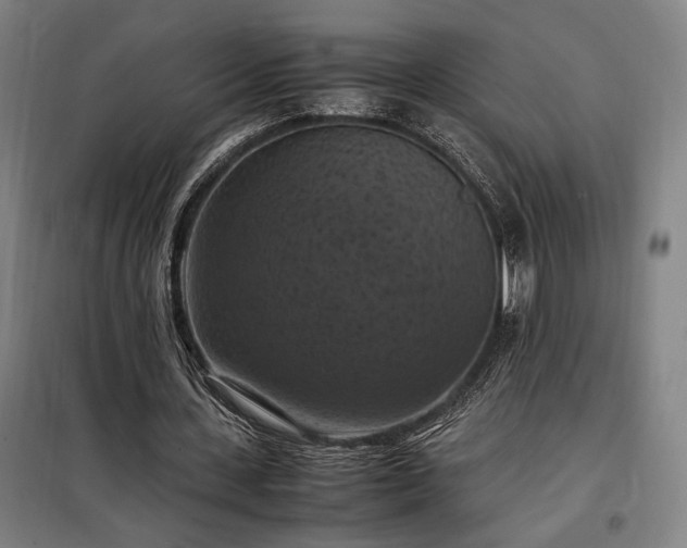 X0000098000531200804021033