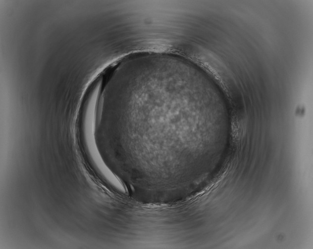 X0000098000532200804021033