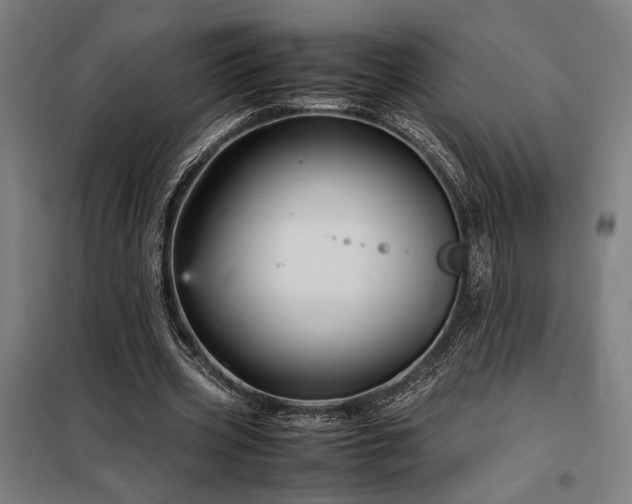 X0000098000533200804021033