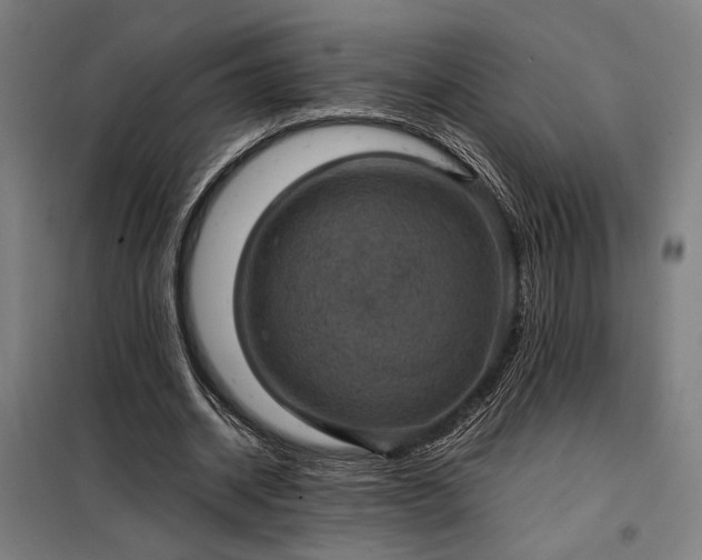 X0000098000534200804021033