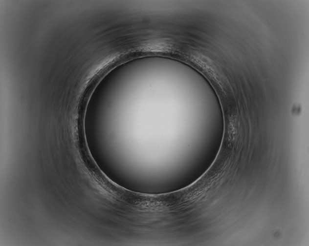 X0000098000535200804021033