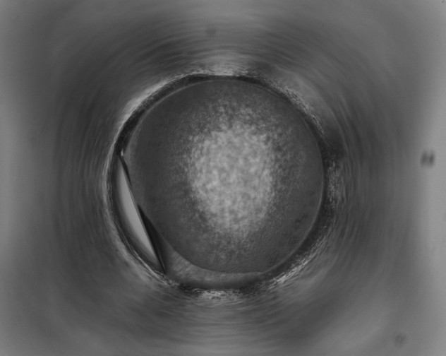 X0000098000536200804021033
