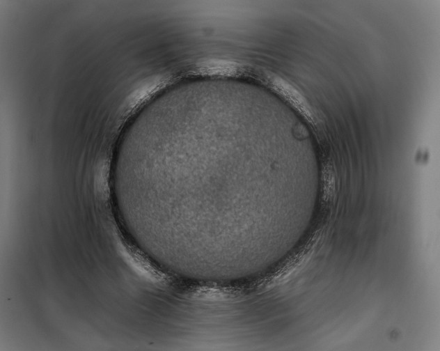 X0000098000538200804021033