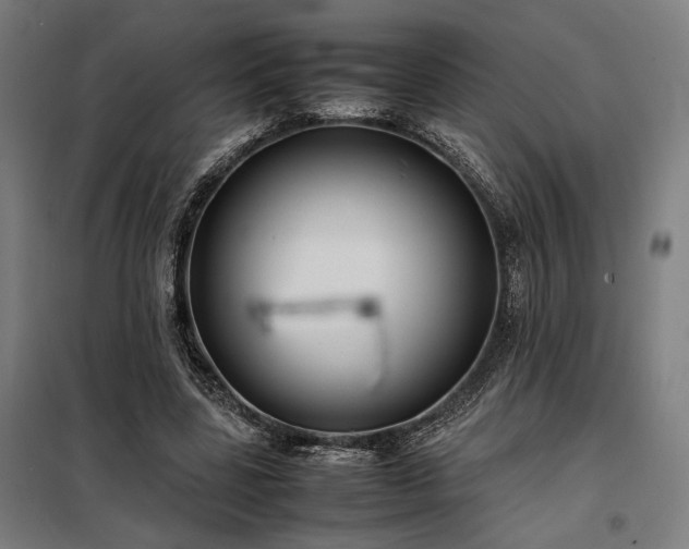 X0000098000539200804021033