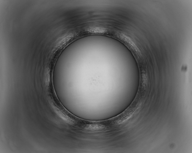X0000098000541200804021034