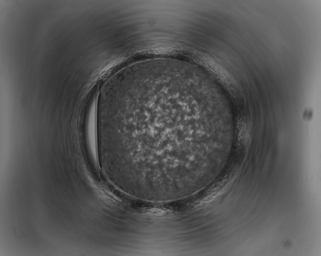 X0000098000542200804021034