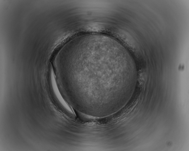 X0000098000544200804021034