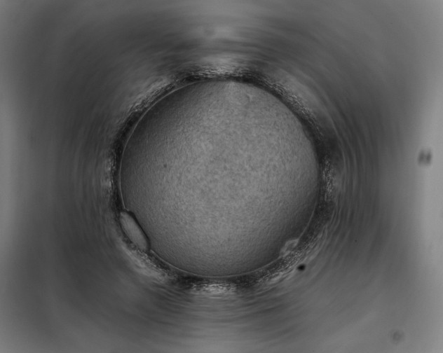 X0000098000546200804021034