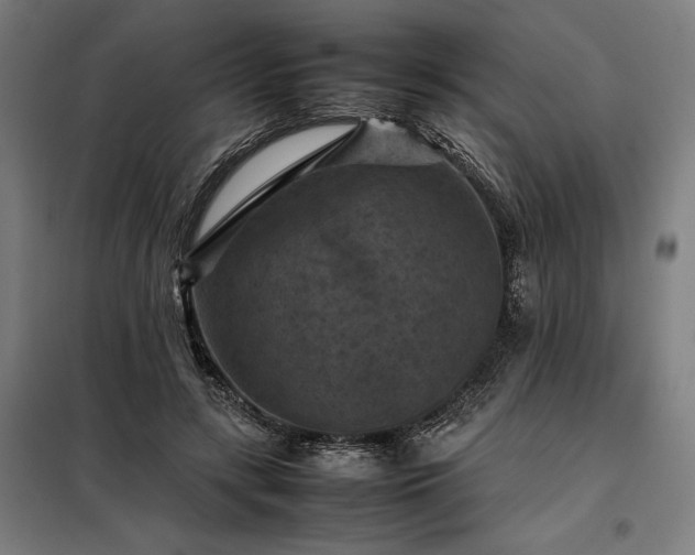 X0000098000547200804021034