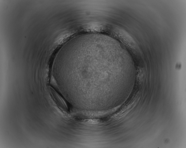 X0000098000548200804021034