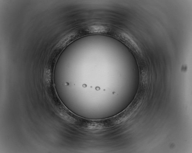 X0000098000549200804021034