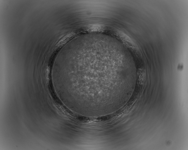 X0000098000550200804021034