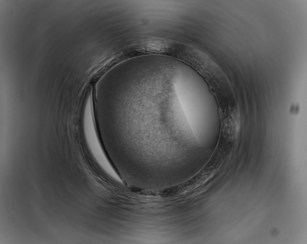 X0000098000552200804021034