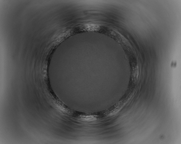 X0000098000553200804021034