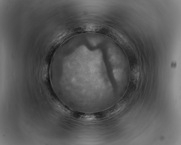X0000098000554200804021034
