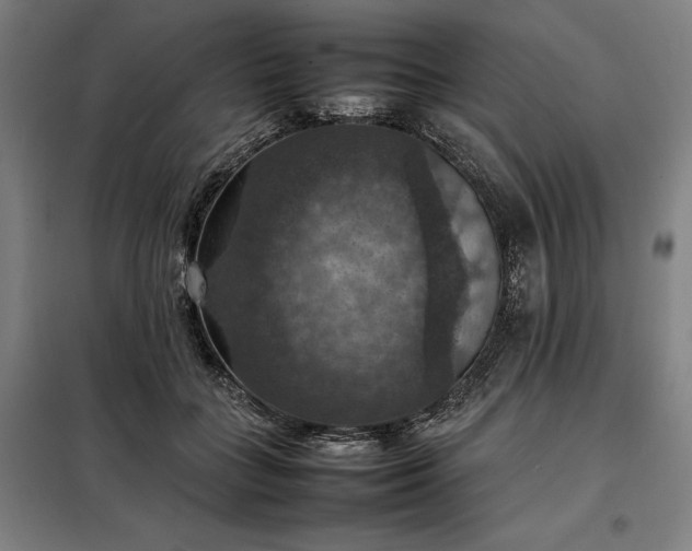 X0000098000555200804021034