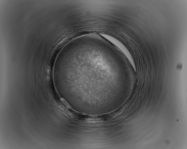 X0000098000556200804021034