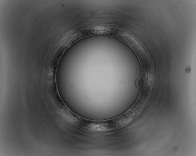 X0000098000557200804021034