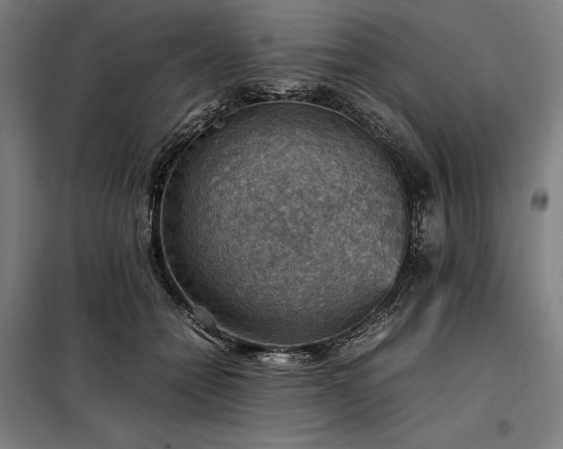 X0000098000558200804021034