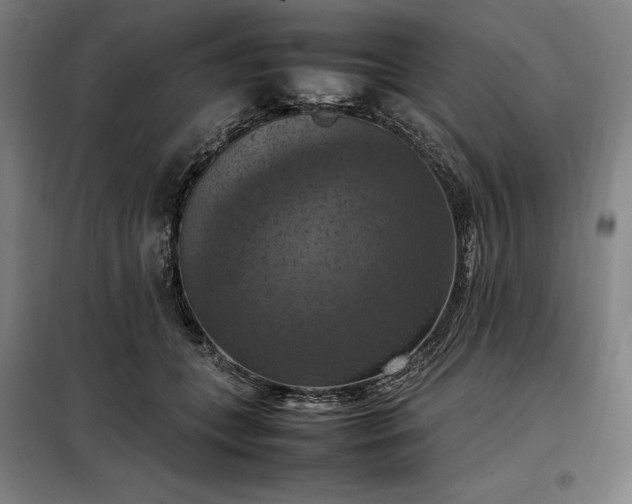 X0000098000559200804021034