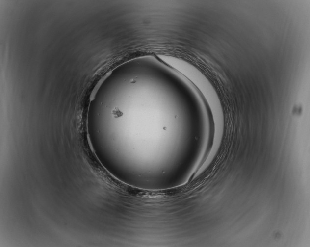 X0000098000560200804021034