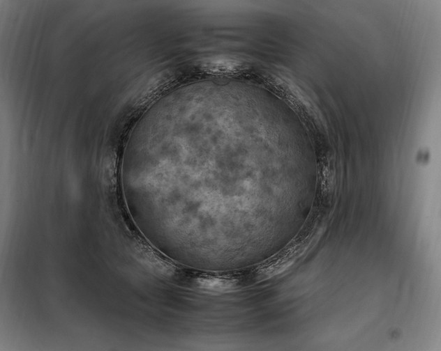 X0000098000561200804021034
