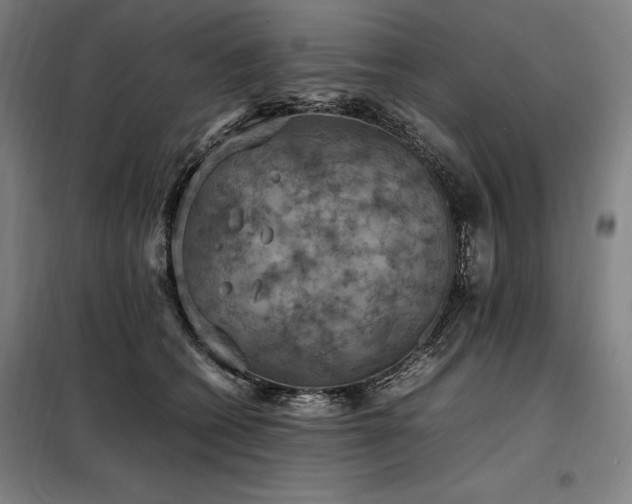 X0000098000562200804021034