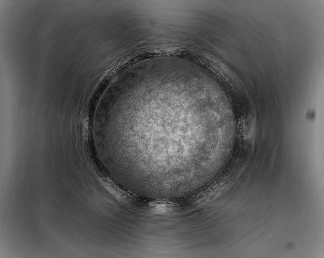 X0000098000564200804021034