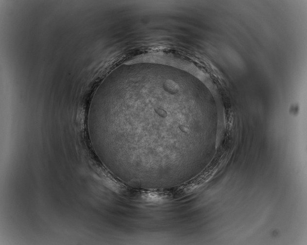 X0000098000565200804021034