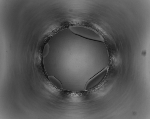 X0000098000566200804021034