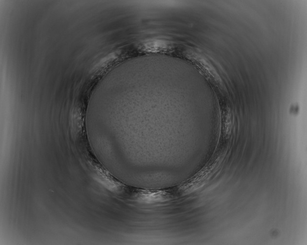 X0000098000569200804021034