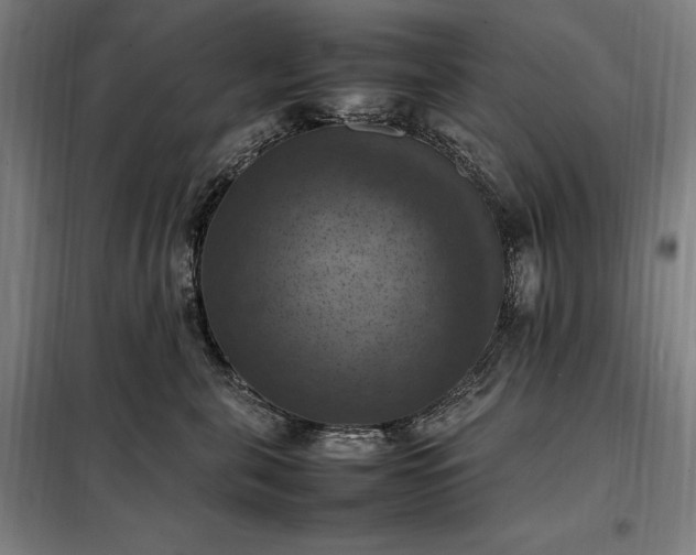 X0000098000571200804021034
