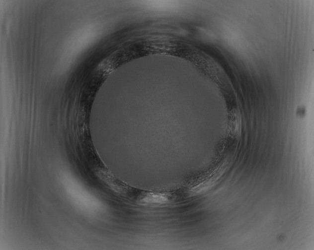 X0000098000573200804021034
