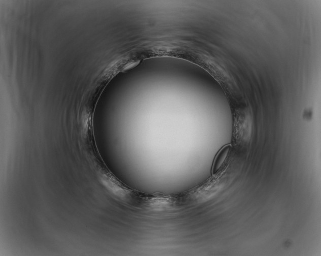 X0000098000574200804021034