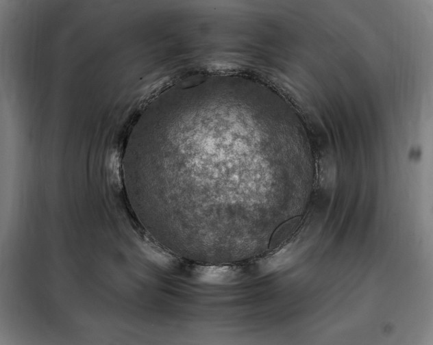 X0000098000575200804021034