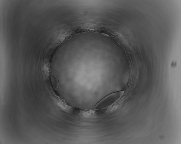 X0000098000576200804021034