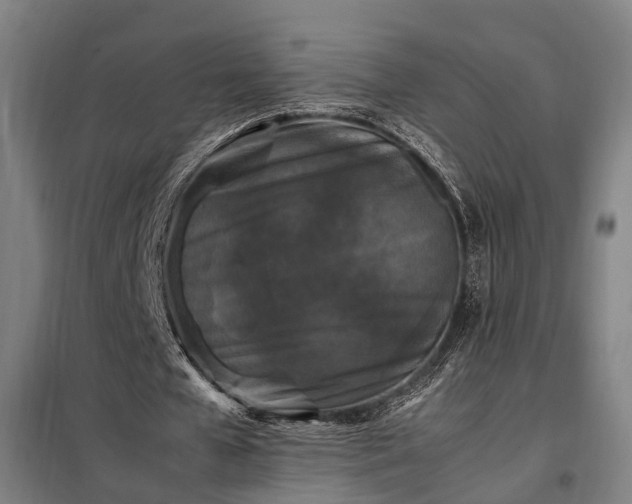 X0000098000577200804021033