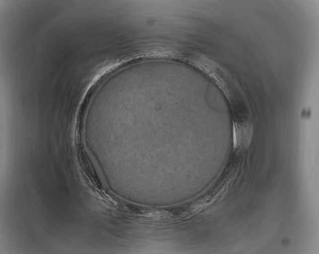 X0000098000579200804021033