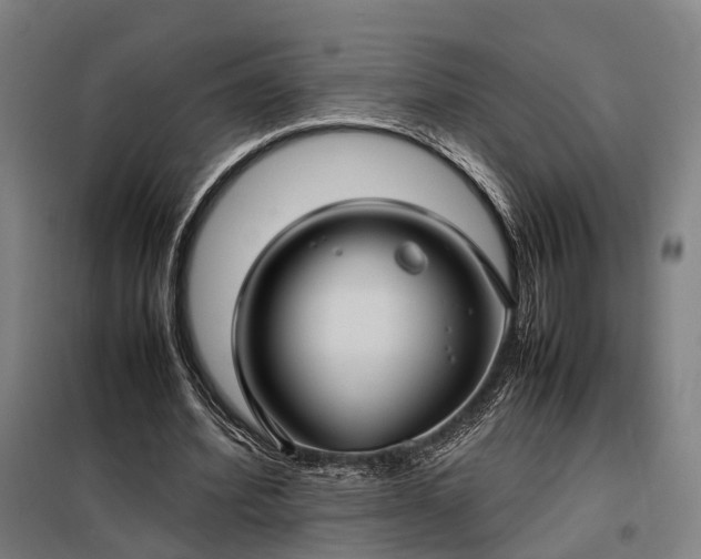 X0000098000580200804021033