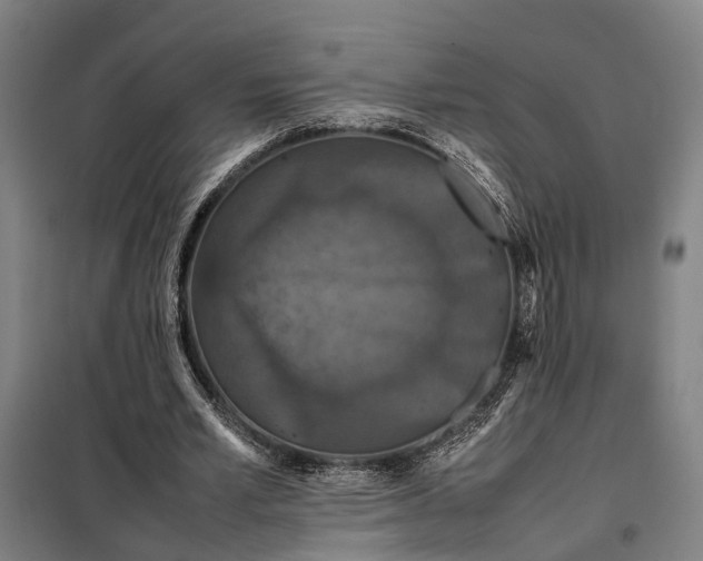 X0000098000581200804021033