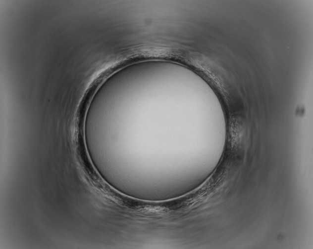 X0000098000583200804021033