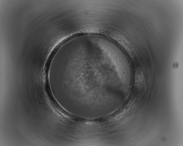 X0000098000584200804021033