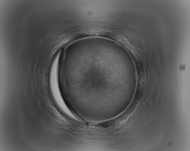 X0000098000585200804021033